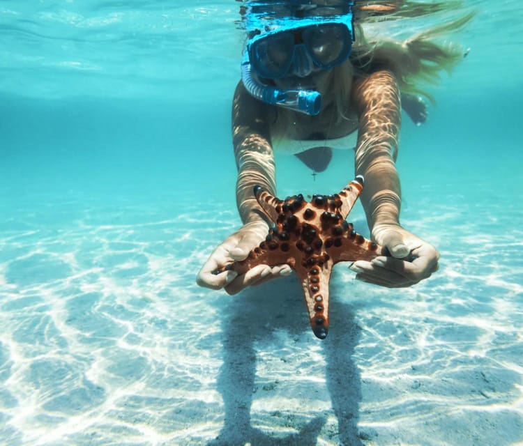 Rosario Islands Snorkeling & Oceanarium Tour from Cartagena - Cartagena Day Tours