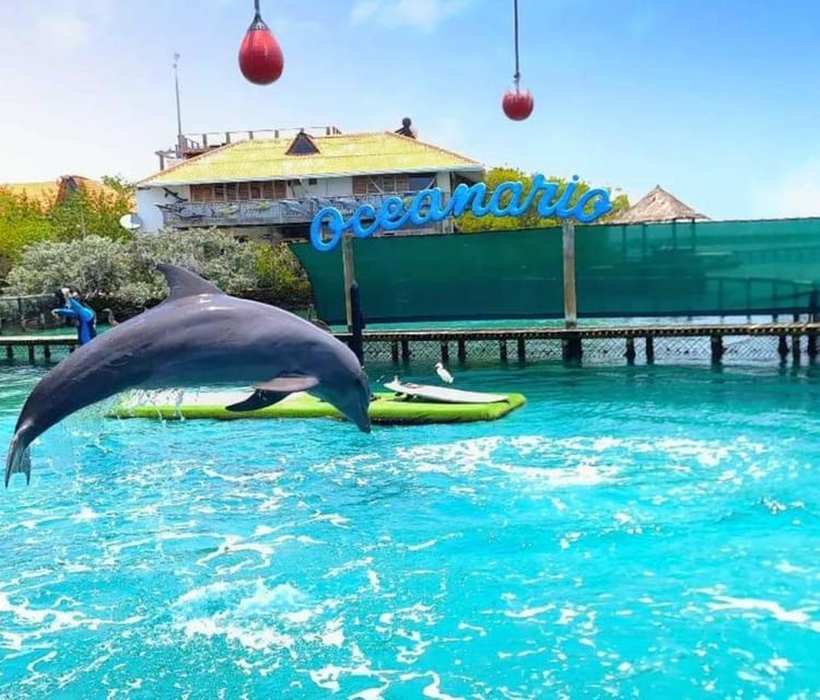 Rosario Islands Snorkeling & Oceanarium Tour from Cartagena - Cartagena Day Tours