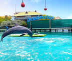 Rosario Islands Snorkeling & Oceanarium Tour from Cartagena - Cartagena Day Tours