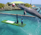 Rosario Islands Snorkeling & Oceanarium Tour from Cartagena - Cartagena Day Tours