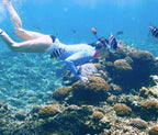 Rosario Islands Snorkeling & Oceanarium Tour from Cartagena - Cartagena Day Tours