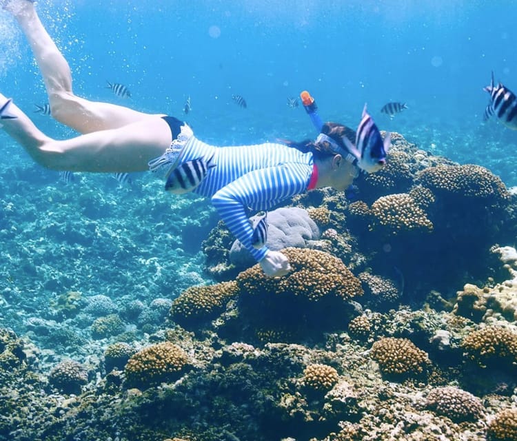 Rosario Islands Snorkeling & Oceanarium Tour from Cartagena - Cartagena Day Tours