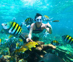 Rosario Islands Snorkeling & Oceanarium Tour from Cartagena - Cartagena Day Tours