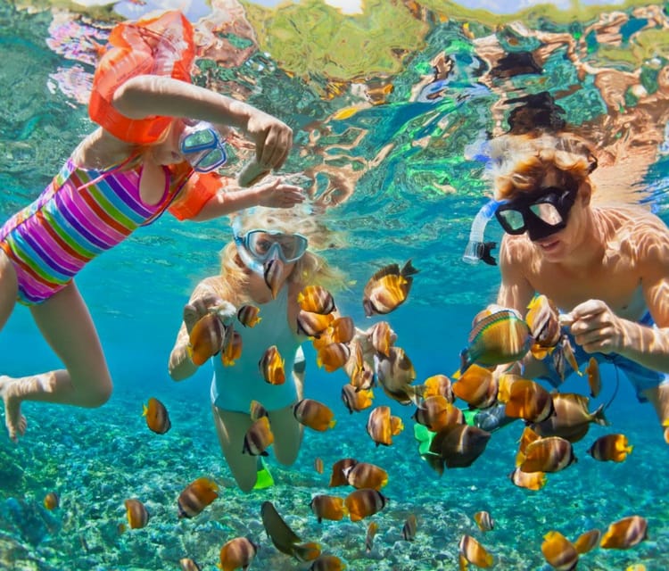 Rosario Islands Snorkeling & Oceanarium Tour from Cartagena - Cartagena Day Tours