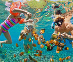 Rosario Islands Snorkeling & Oceanarium Tour from Cartagena - Cartagena Day Tours