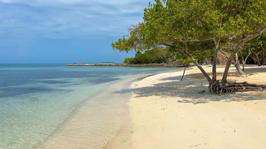 Sabai Beach Club — Private Beach Day Pass, Isla Barú - Cartagena Day Tours
