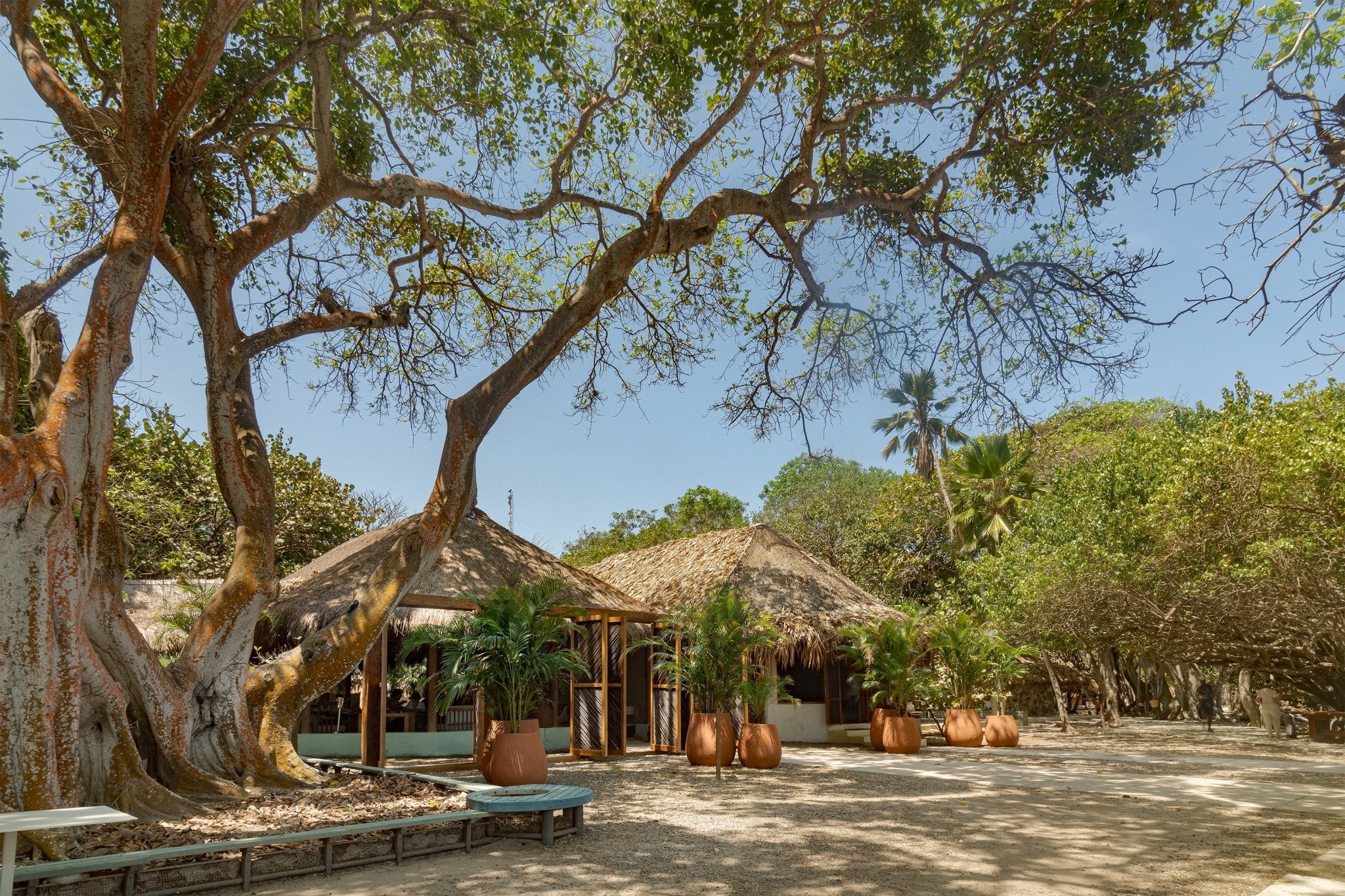 San Pedro de Majagua – Exclusive Island Day Pass Cartagena - Cartagena Day Tours