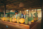 Sunset Beach Club Playa Tranquila Barú Day Pass from Cartagena - Cartagena Day Tours