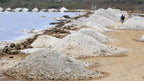 Totumo Mud Volcano Tour from Cartagena - Cartagena Day Tours